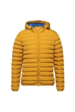 Top 10 😍 Invicta Gewatteerde Jassen Down Jackets Yellow 🔔