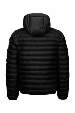 Top 10 🔥 Invicta Gewatteerde Jassen Down Jackets Black ⌛