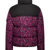 Goedkoopste 💯 Invicta Winterjassen Jacket Purple 🥰 -Invicta Verkoop e083a2c3b21ccdc39d0f0d7301458b1d